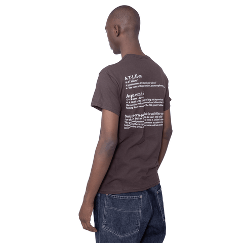 Vocabulary T-shirt (Brown)