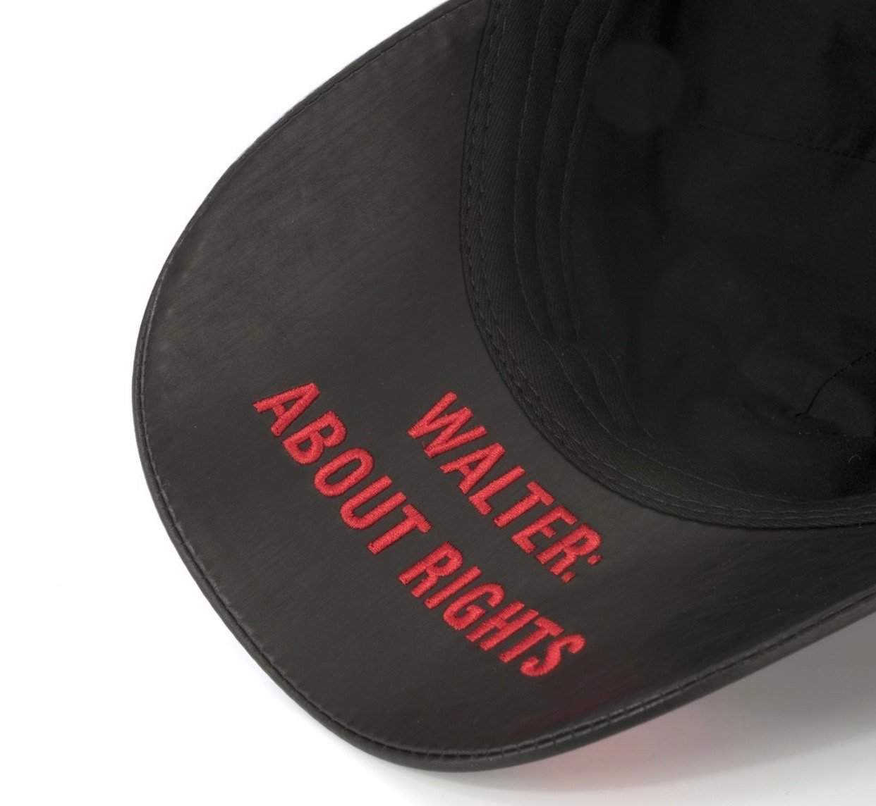 Black W.A.R. Snake Cap – Congruent Space *₊˚⁎*₊